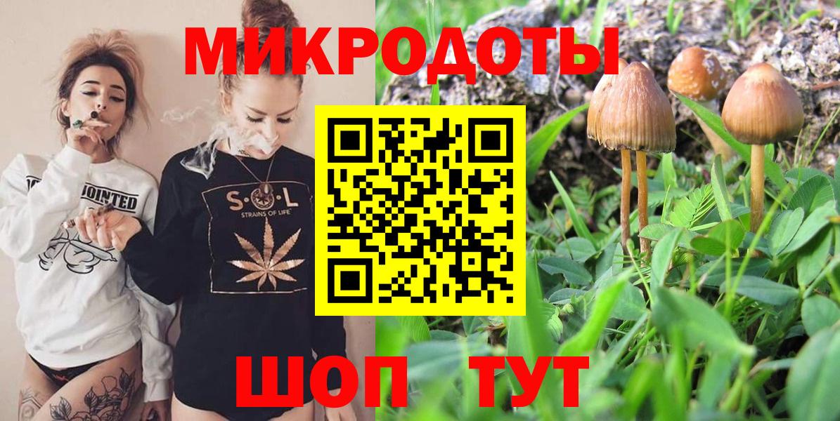Северобайкальск  Псилоцибиновые грибы GOLDEN TEACHER  Галлюциногенные грибы мицелий  Вход с VPN 