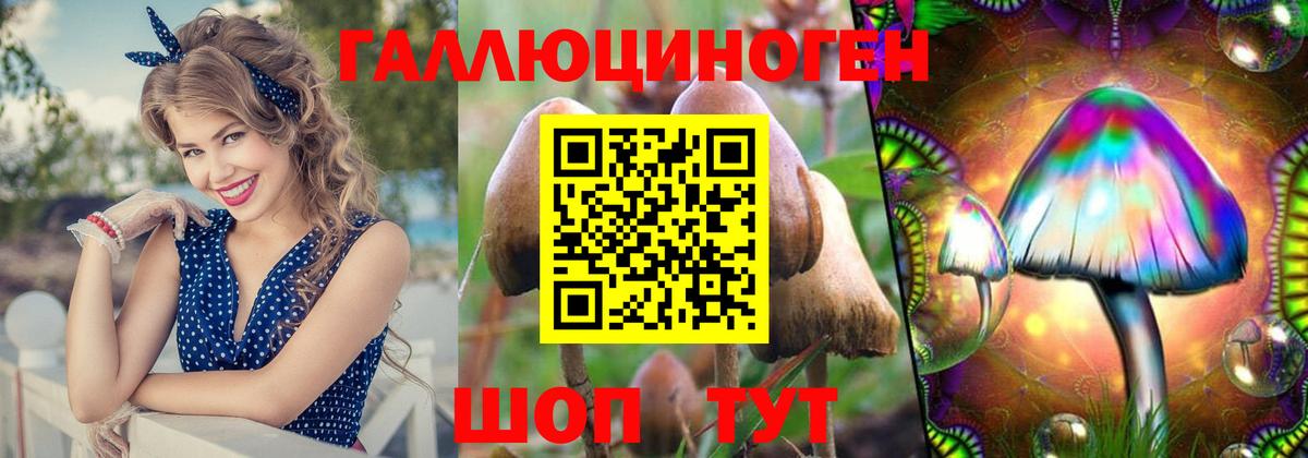 Псилоцибиновые грибы GOLDEN TEACHER Северобайкальск